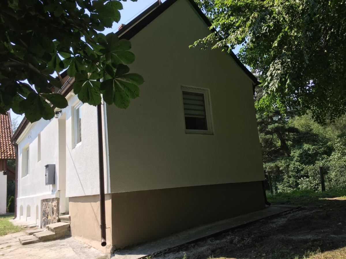 I love Krynica Appartamento Krynica Morska Esterno foto